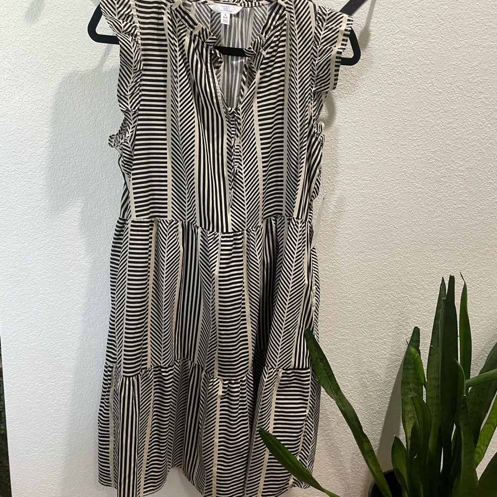 Time and Tru Black and White Striped Midi Dress